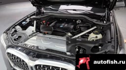 Миниатюра 6