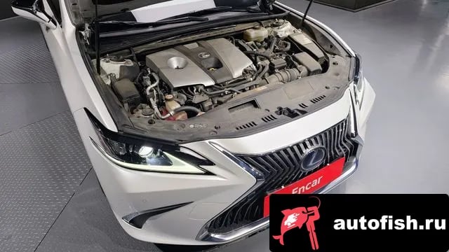 Lexus ES ES300h 7th generation 2018 года - вид 6