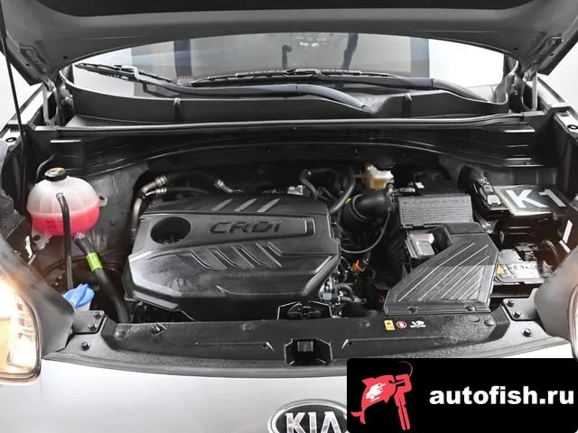 Kia Sportage Sportage The Bold 2021 года - вид 6