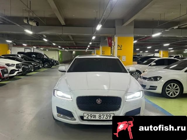 Jaguar XF XF (X260) 2018 года - вид 1