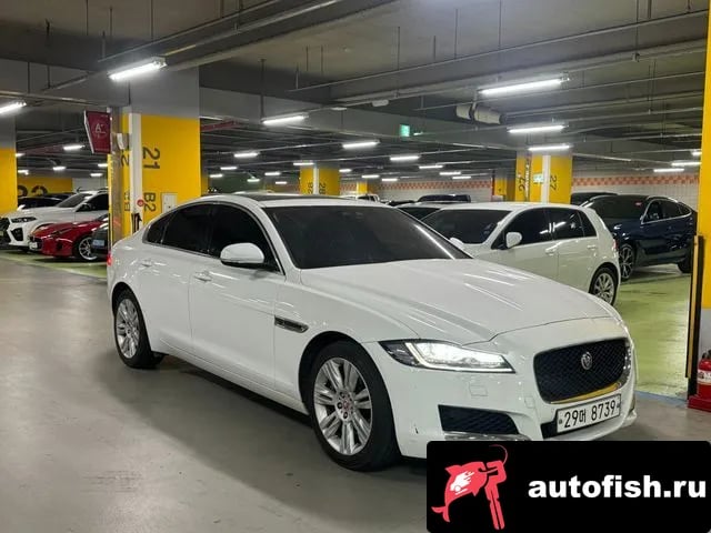 Jaguar XF XF (X260) 2018 года - вид 2