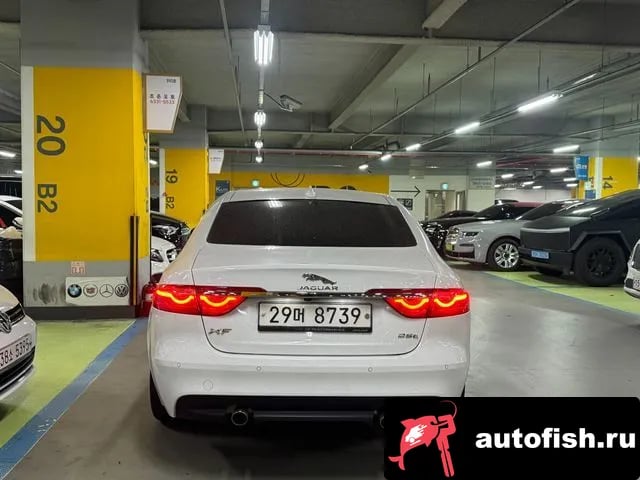 Jaguar XF XF (X260) 2018 года - вид 3