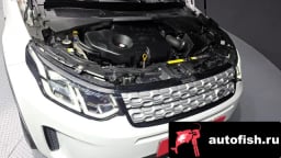 Миниатюра 6