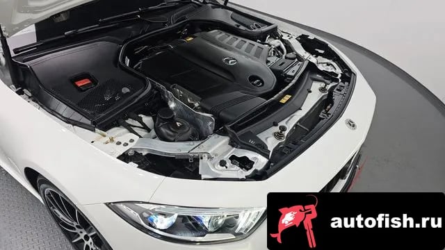 Mercedes-Benz CLS-Class CLS-Class C257 2021 года - вид 6