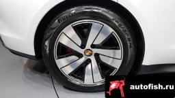 Миниатюра 5