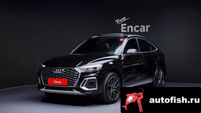 Audi Q5 Q5 (FY) 2024 года - вид 1