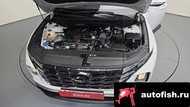 Hyundai Tucson Tucson (NX4) 2022 года - вид 6