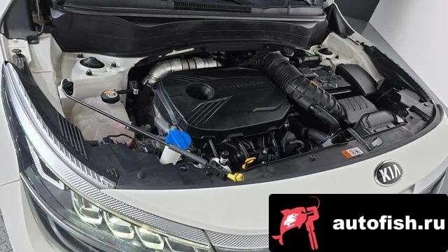 Kia Seltos Celtos 2020 года - вид 6