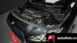 Миниатюра 6