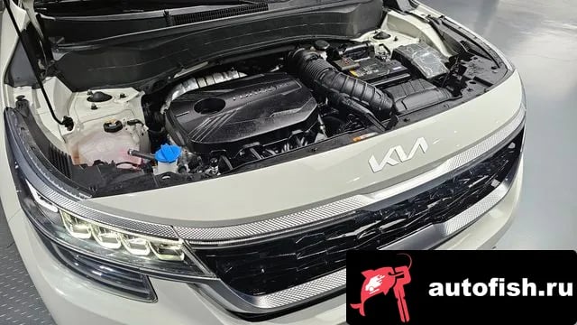 Kia Seltos Celtos 2022 года - похожие автомобили