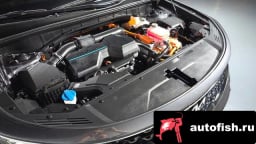 Миниатюра 6