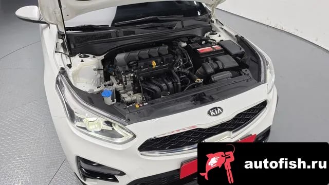Kia K3 Come New K3 2018 года - вид 6