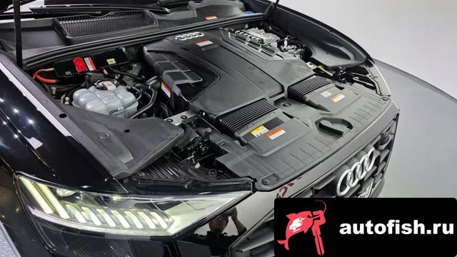 Audi Q8 Q8 (4M) 2023 года - вид 6