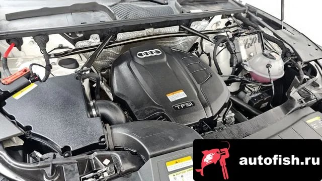 Audi Q5 Q5 (FY) 2020 года - вид 6