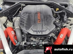 Миниатюра 5