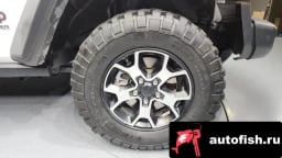 Миниатюра 5