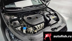 Миниатюра 6