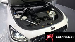 Миниатюра 6