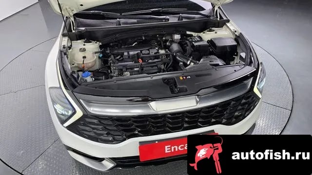 Kia Sportage Sportage 5th Generation 2021 года - вид 6