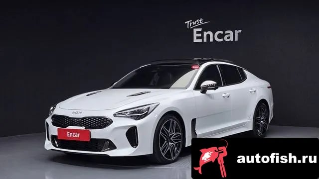 Kia Stinger Stinger Meister 2022 года - вид 1