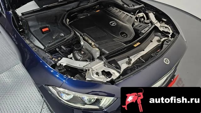 Mercedes-Benz CLS-Class CLS-Class C257 2020 года - вид 6