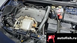 Миниатюра 6