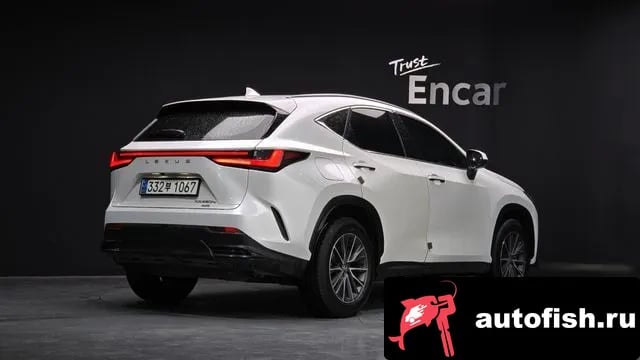 Lexus NX NX450h + 2nd generation 2023 года - вид 1