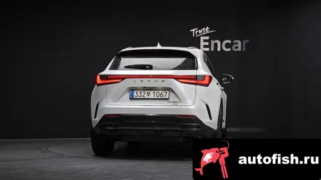 Lexus NX NX450h + 2nd generation 2023 года - похожие автомобили
