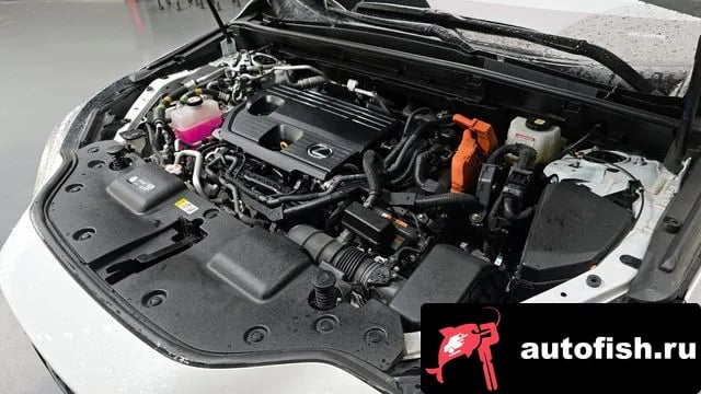 Lexus NX NX450h + 2nd generation 2023 года - вид 5