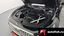 Миниатюра 6