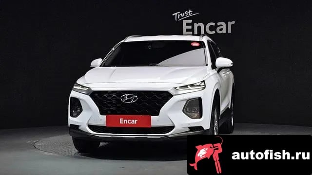 Hyundai Santafe San Tafe TM 2019 года - вид 3