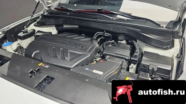 Hyundai Santafe San Tafe TM 2019 года - вид 6