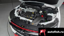 Миниатюра 6