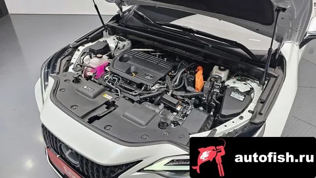 Lexus NX NX350h Second generation 2024 года - вид 6