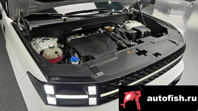 Hyundai Santafe San Tafe (MX5) 2023 года - вид 6