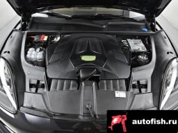 Миниатюра 6