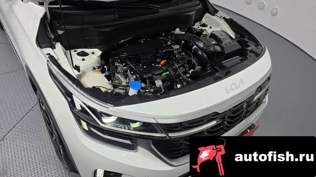 Kia Seltos The New Celtos 2023 года - вид 6
