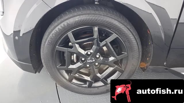 Kia Carnival The New Carnival 4th Generation 2024 года - вид 5