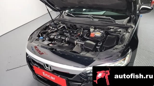 Honda Accord Accord 10th Generation 2019 года - вид 6