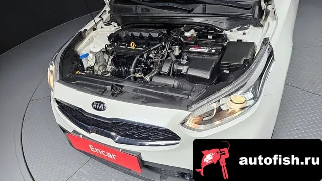 Kia K3 Come New K3 2020 года - вид 6