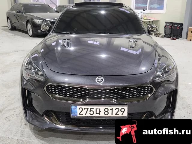 Kia Stinger Stinger Meister 2020 года - вид 3