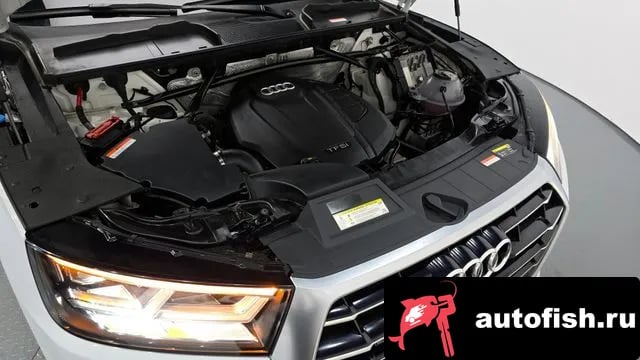 Audi Q5 Q5 (FY) 2020 года - вид 6