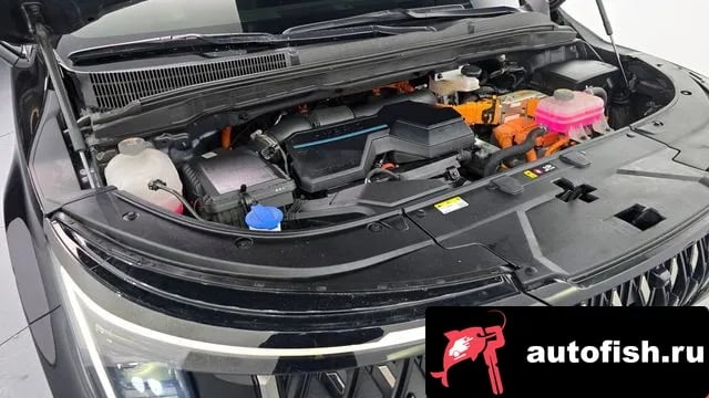 Kia Carnival The New Carnival 4th Generation 2024 года - вид 6