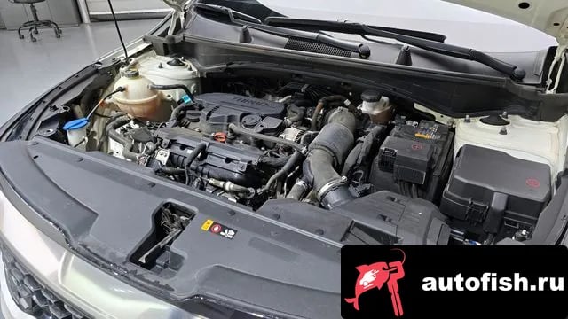 Kia Sportage Sportage 5th Generation 2022 года - вид 6