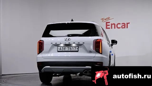 Hyundai Palisade Palisade 2019 года - вид 4