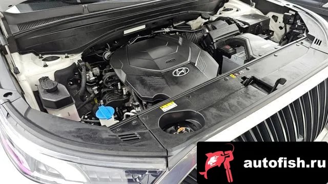 Hyundai Palisade Palisade 2019 года - вид 6