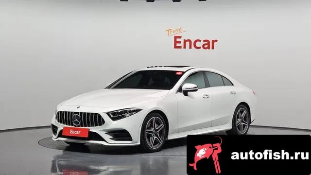 Mercedes-Benz CLS-Class CLS-Class C257 2019 года - вид 1
