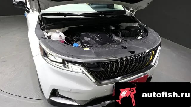 Kia Carnival Carnival 4th generation 2022 года - вид 6