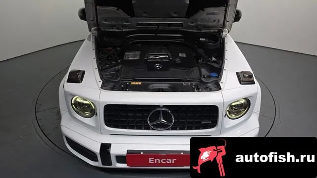 Mercedes-Benz G-Class G-Class W463b 2021 года - вид 6