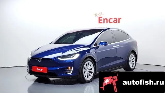 Tesla Model X Model X 2019 года - автомобиль из Южной Кореи